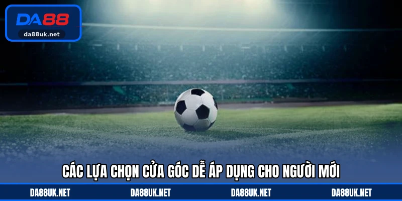 Các lựa chọn cửa góc dễ áp dụng cho người mới