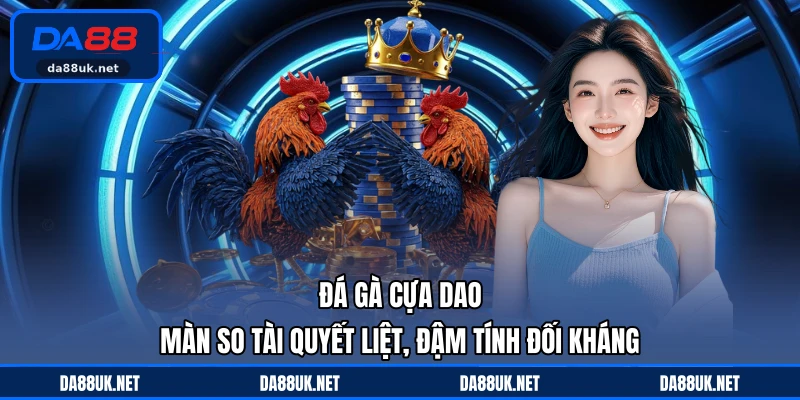 Đá Gà Cựa Dao - Màn So Tài Quyết Liệt, Đậm Tính Đối Khán