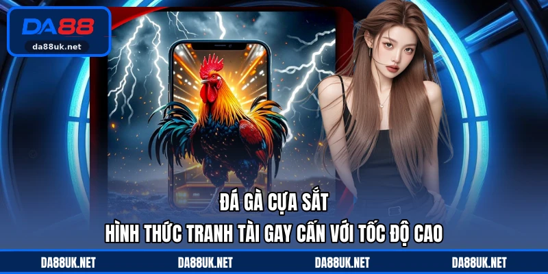 Đá Gà Cựa Sắt - Hình Thức Tranh Tài Gay Cấn Với Tốc Độ Cao