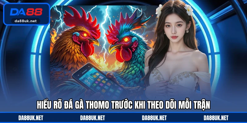 Hiểu rõ đá gà Thomo trước khi theo dõi mỗi trận